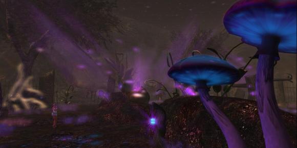 Violaceous Forest (Lauren Bantham - 4096sm), Burning Man-Opal (210, 196, 24)_007