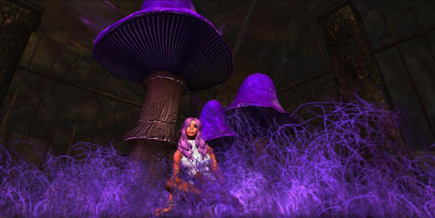 Violaceous Forest   (Lauren Bantham - 4096sm), Burning Man-Opal (210, 196, 24)_011