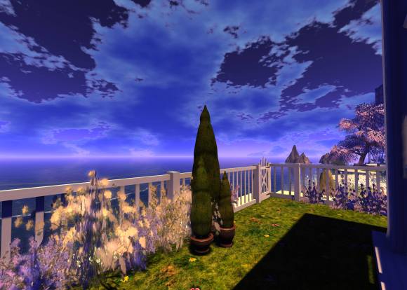 Fox Garden_066