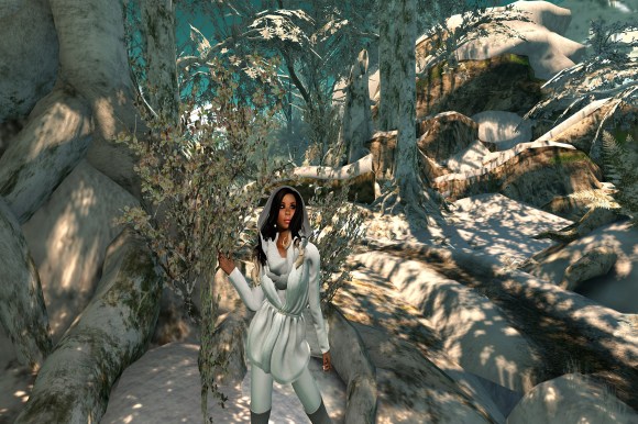calas galadhon_002 copy