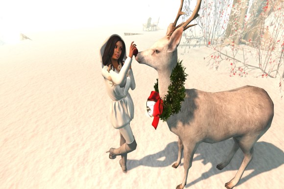 calas galadhon_003