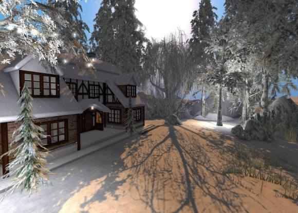 xmas at ven river_010