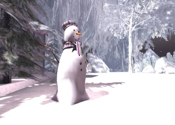 xmas at ven river_083