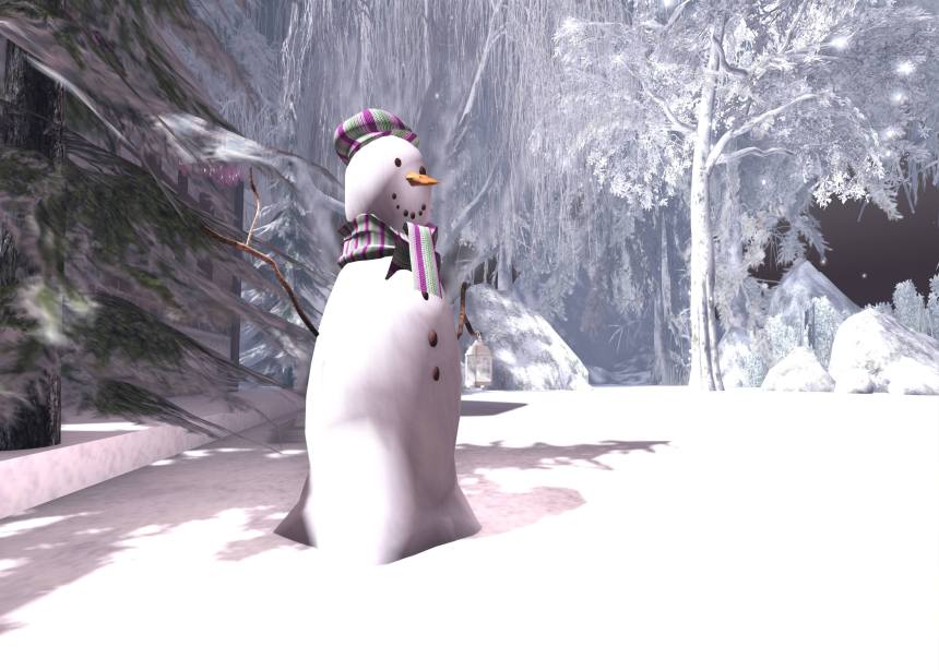 xmas at ven river_083