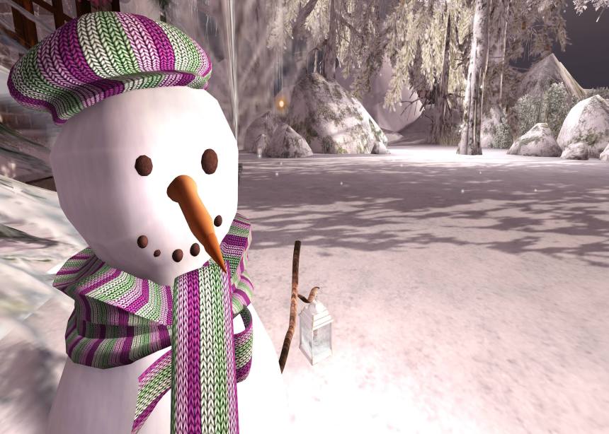 xmas at ven river_085