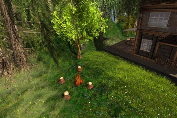 expanded store_011