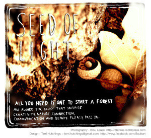 seed-of-light-award1