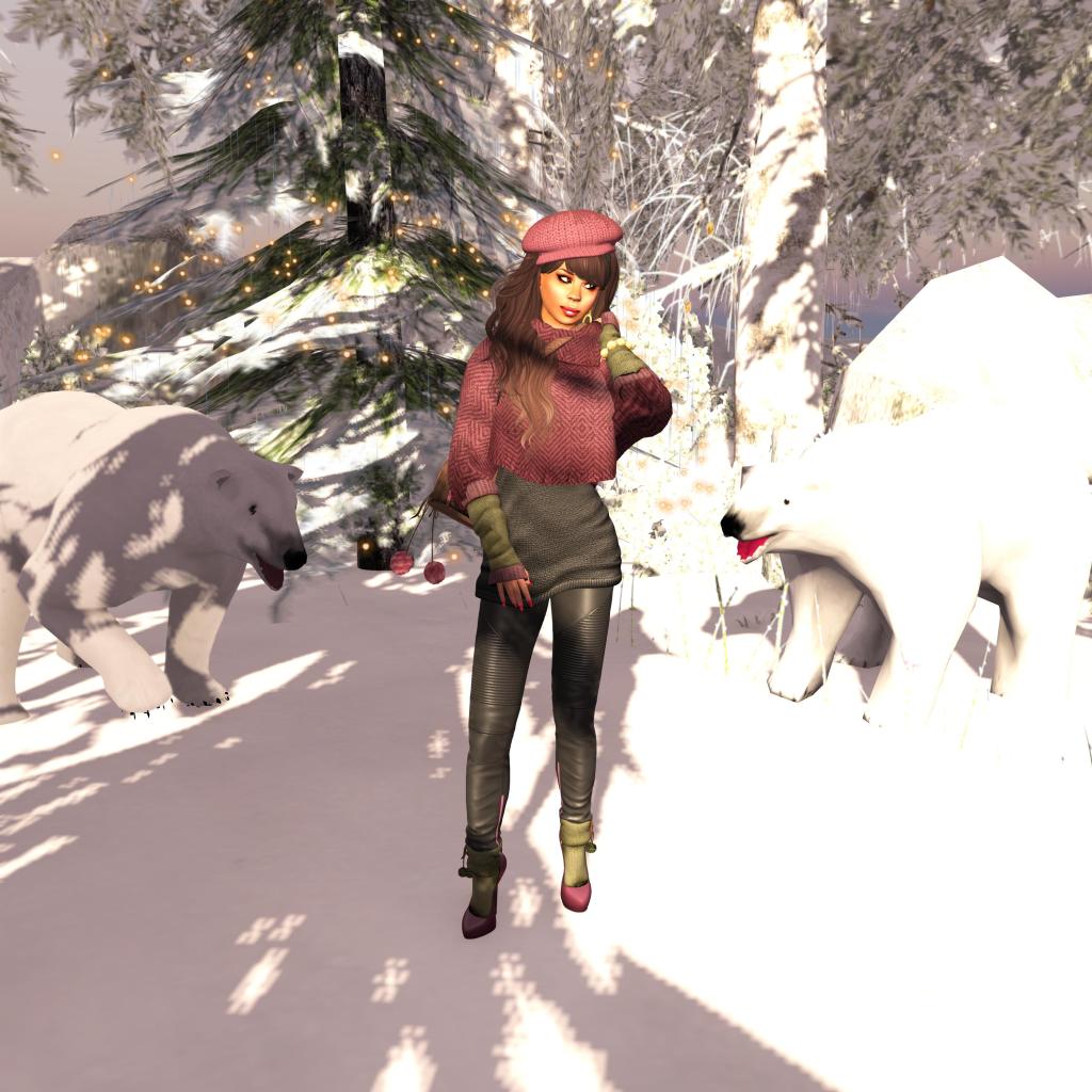 Polar Encounters & Happy 2015!
