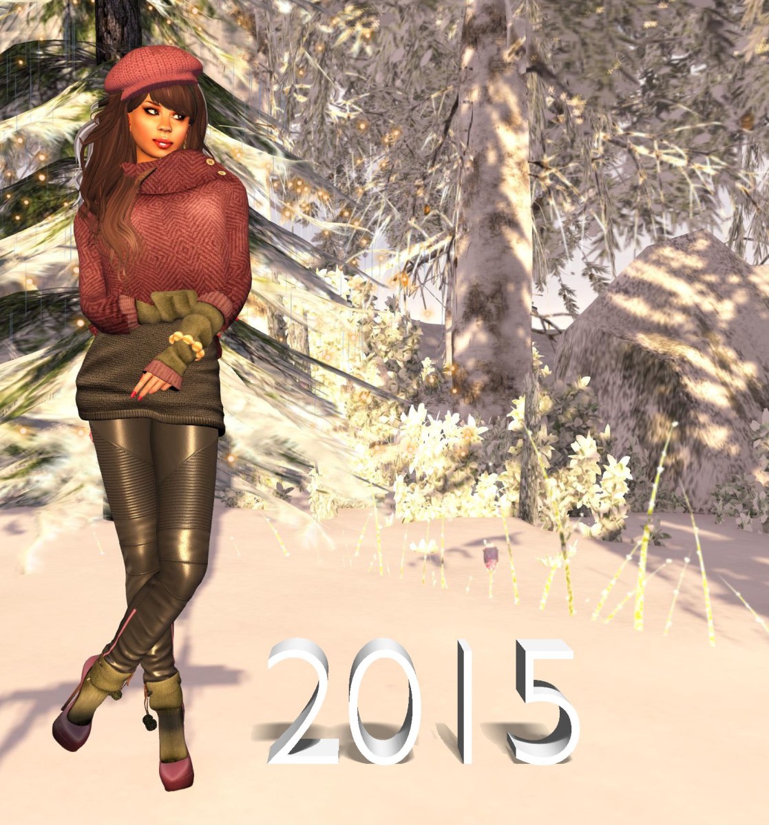 Moco Explore 2015