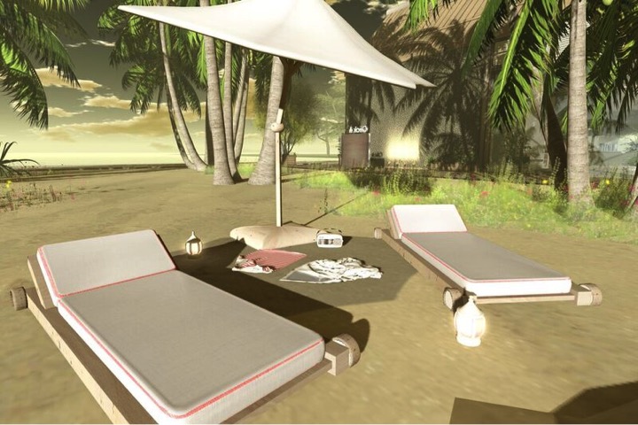 Pool Lounger